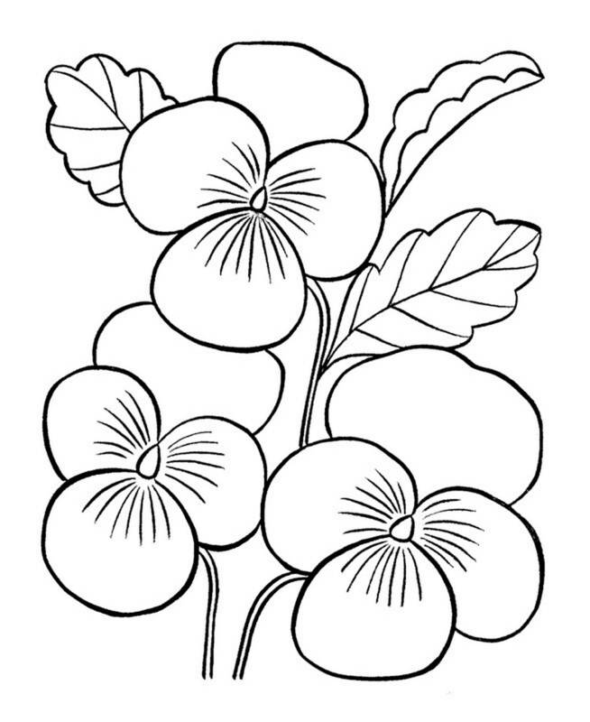 Bratki kolorowanki