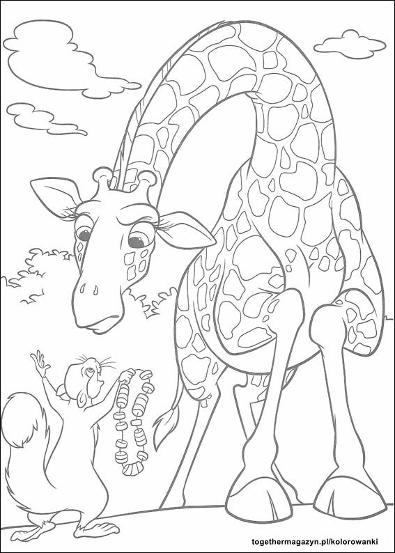 Dżungla kolorowanki