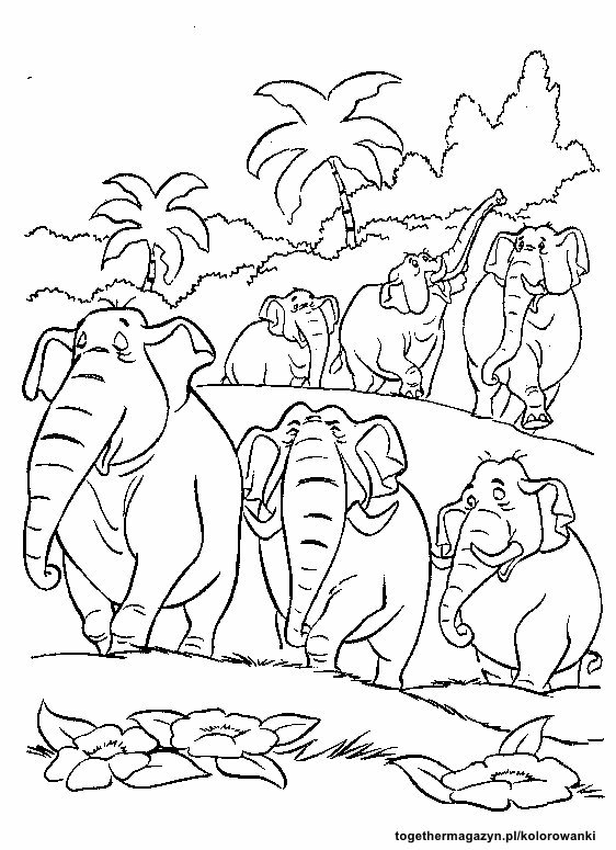 Dżungla kolorowanki