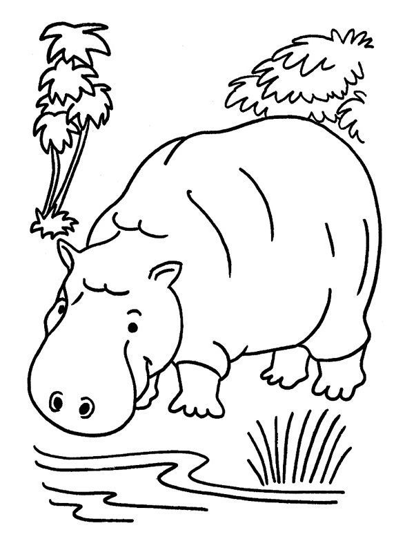 Dżungla kolorowanki