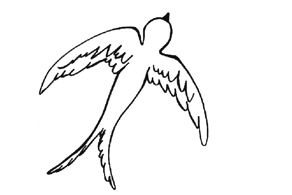 Jaskółka kolorowanki