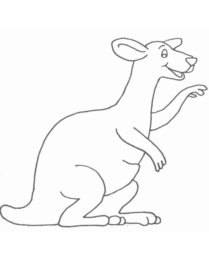 Kangury kolorowanki
