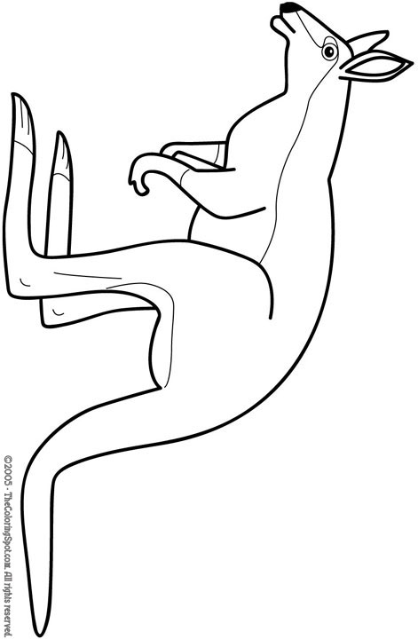 Kangury kolorowanki