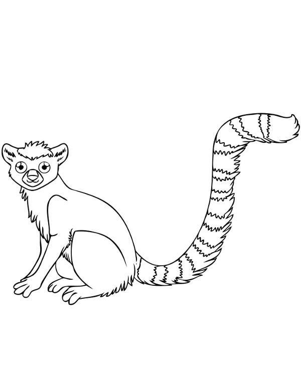 Lemur kolorowanki