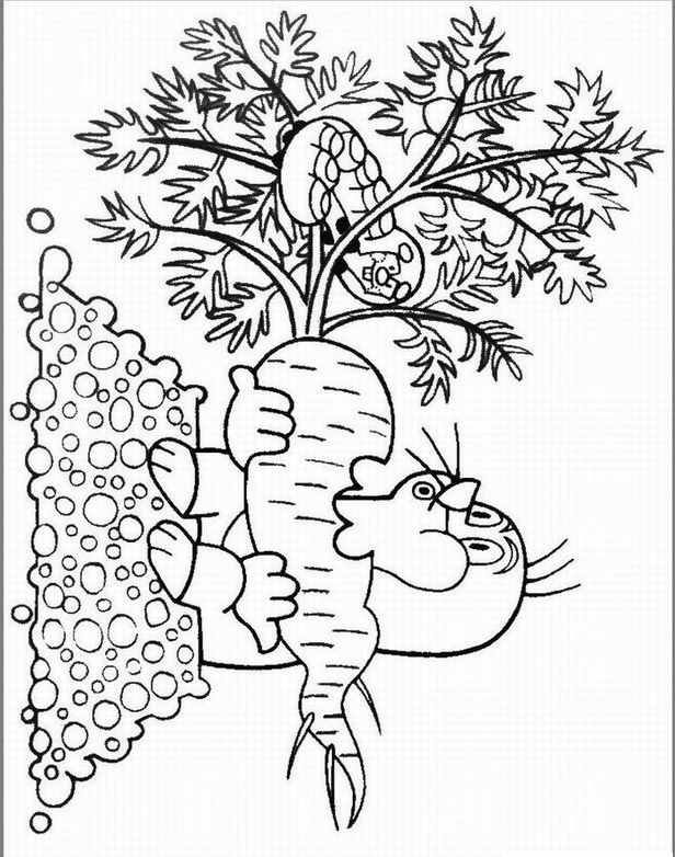 Marchewka kolorowanki