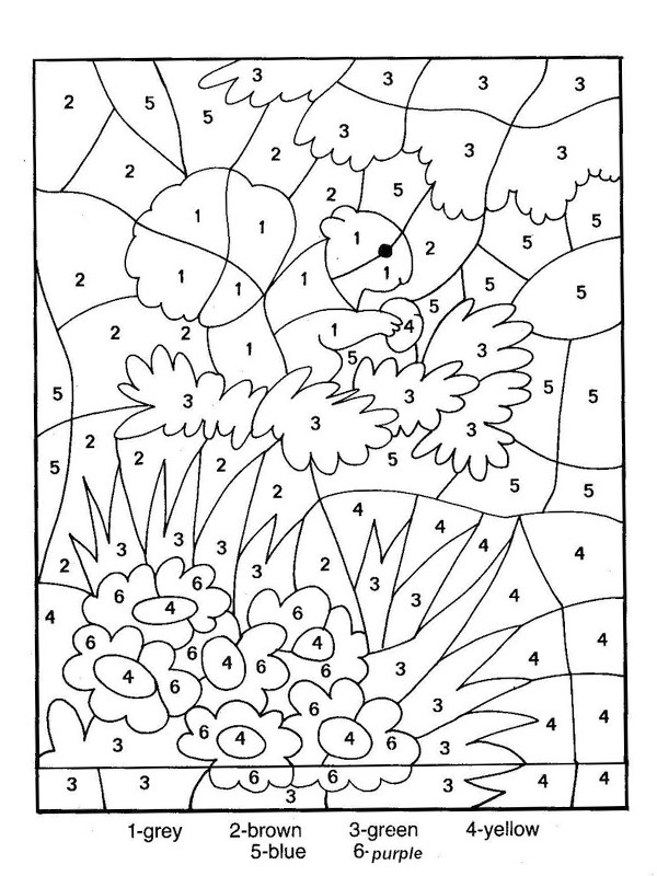 Numeryczne kolorowanki