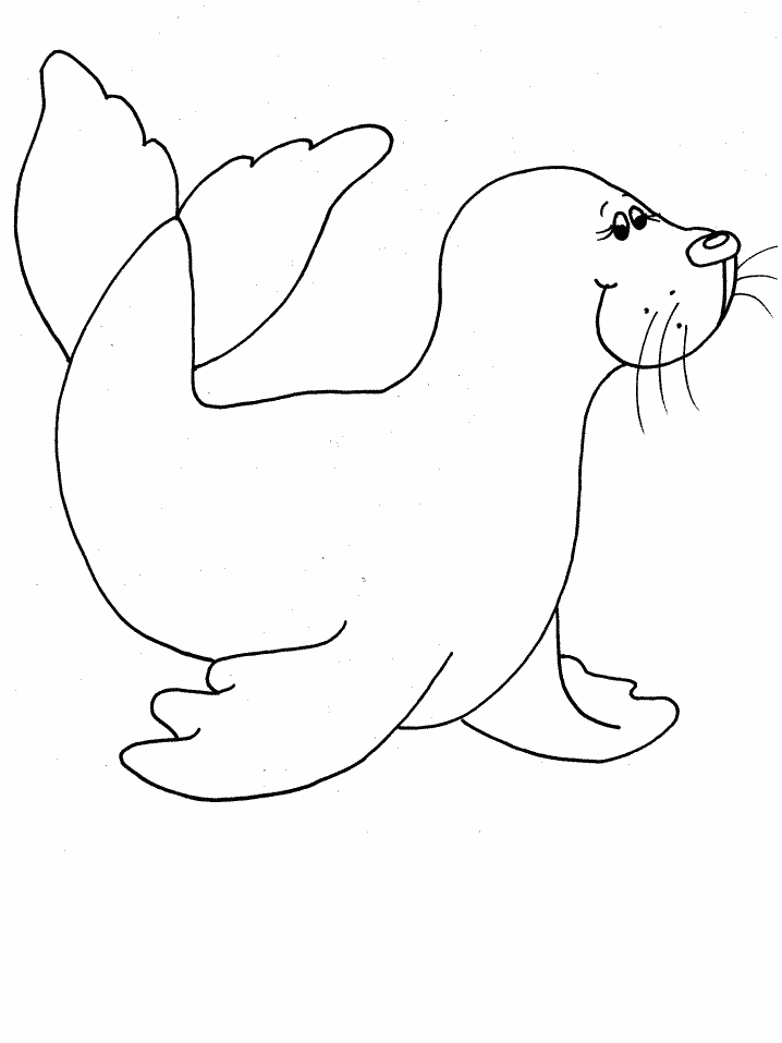 Foki kolorowanki