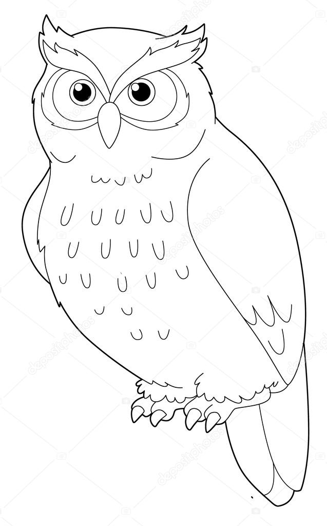 Sowa kolorowanki