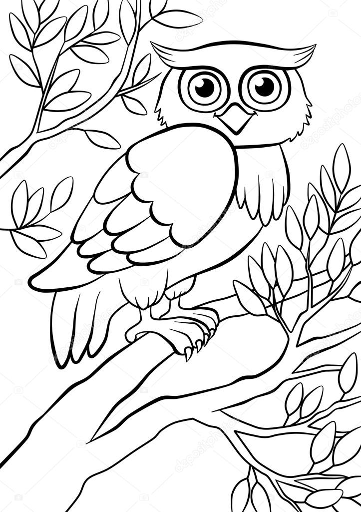 Sowa kolorowanki