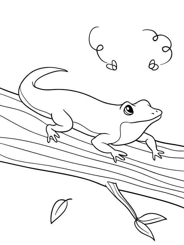Kameleon kolorowanki