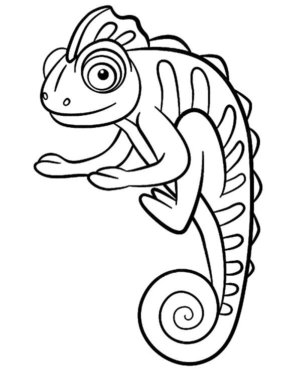 Kameleon kolorowanki