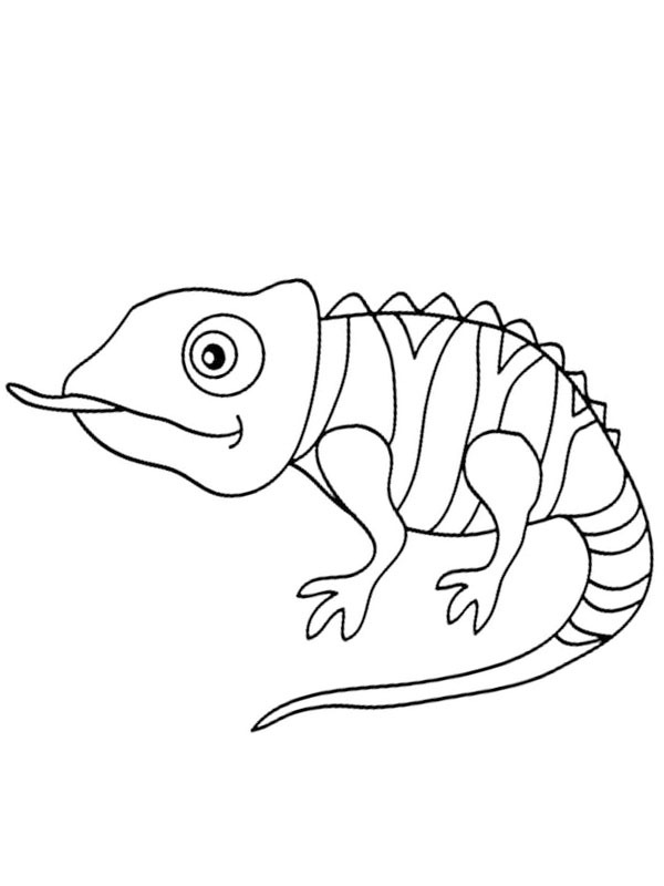 Kameleon kolorowanki