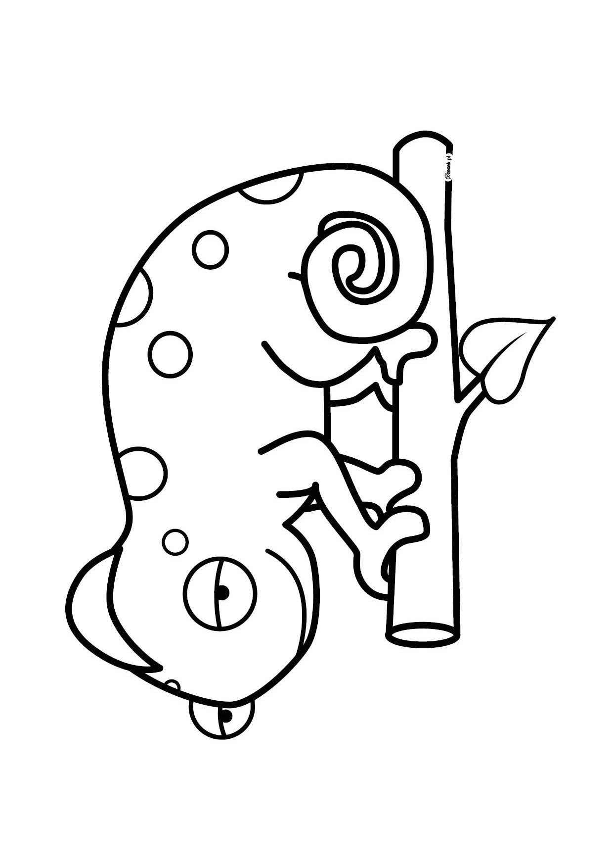 Kameleon kolorowanki