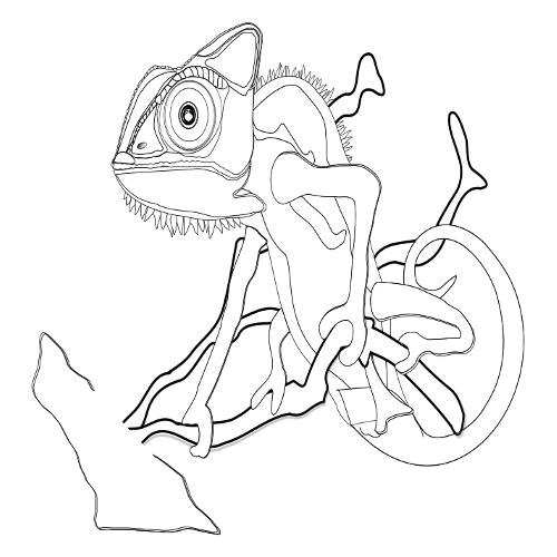 Kameleon kolorowanki
