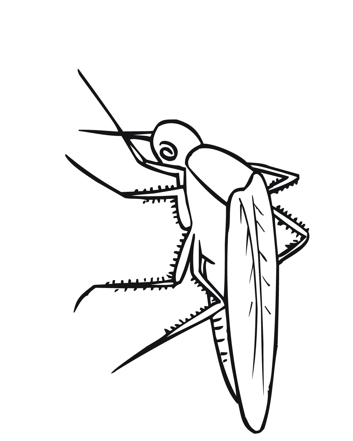 Komar kolorowanki