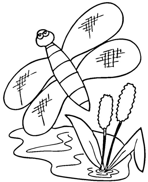 Wazka kolorowanki
