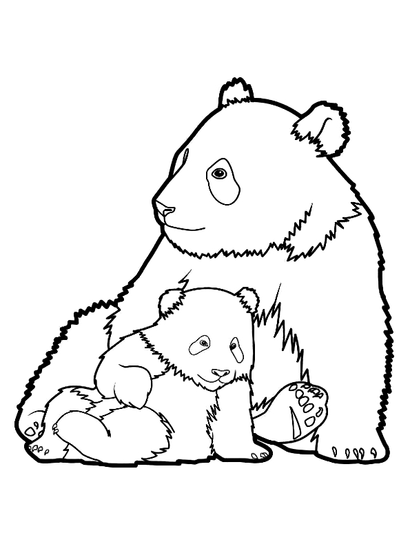 panda kolorowanki