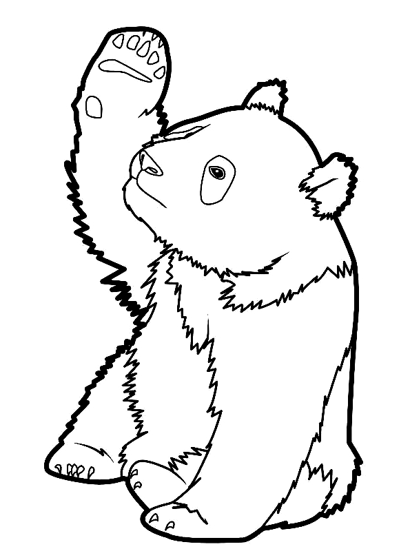 panda kolorowanki
