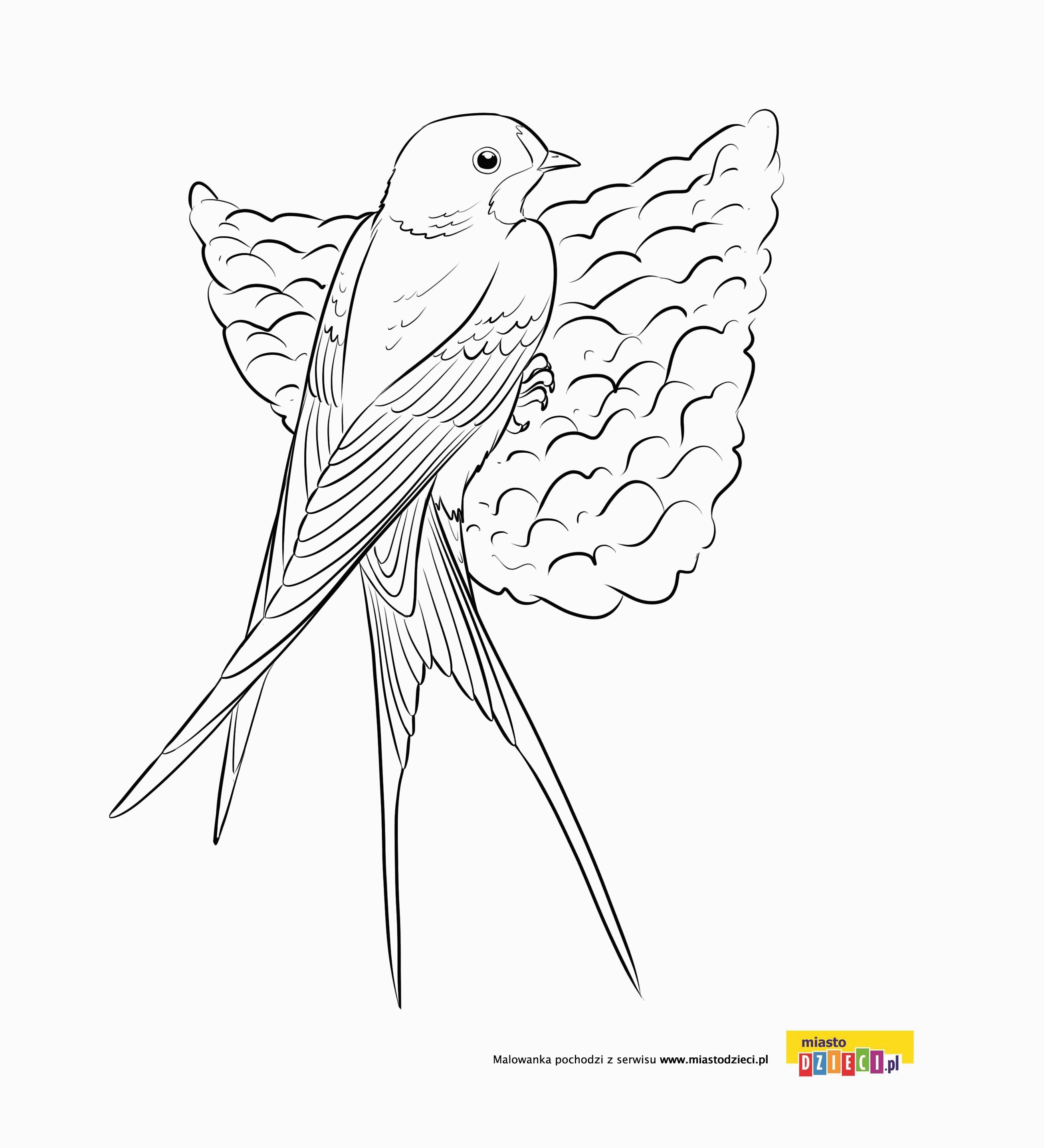 Wrona kolorowanki