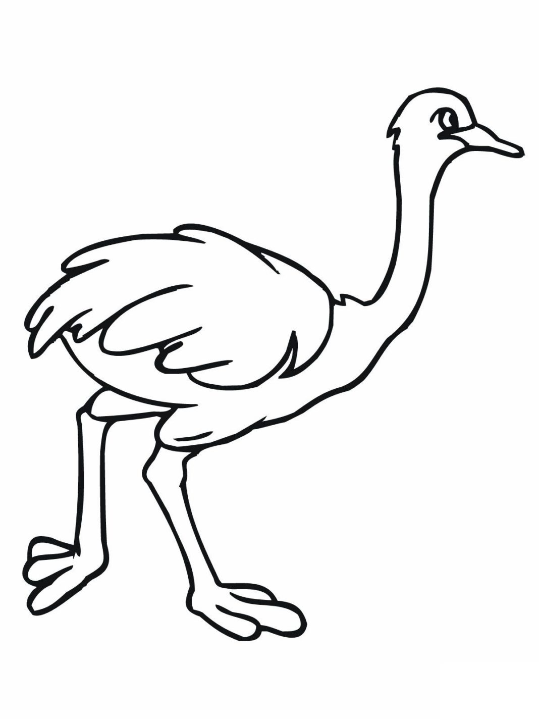 Struś kolorowanki