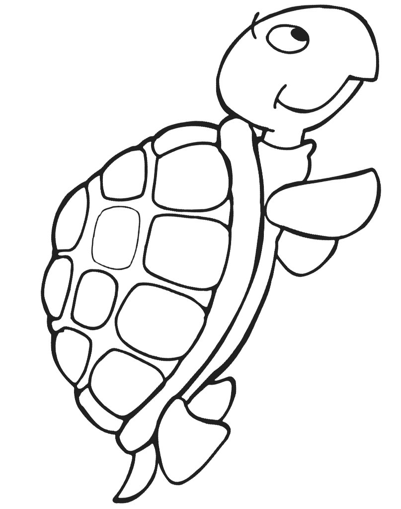 Żółw kolorowanki