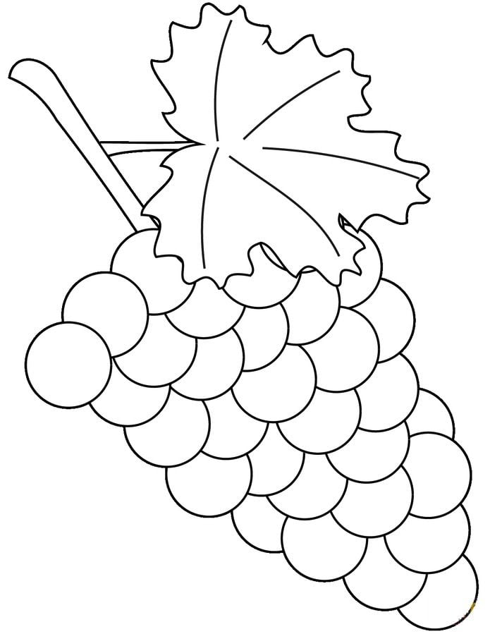 Winogrono kolorowanki